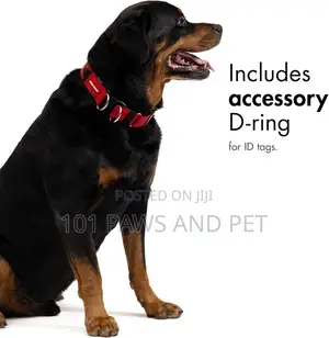 Ezydog Double Up Collar
