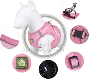 Dog Harness