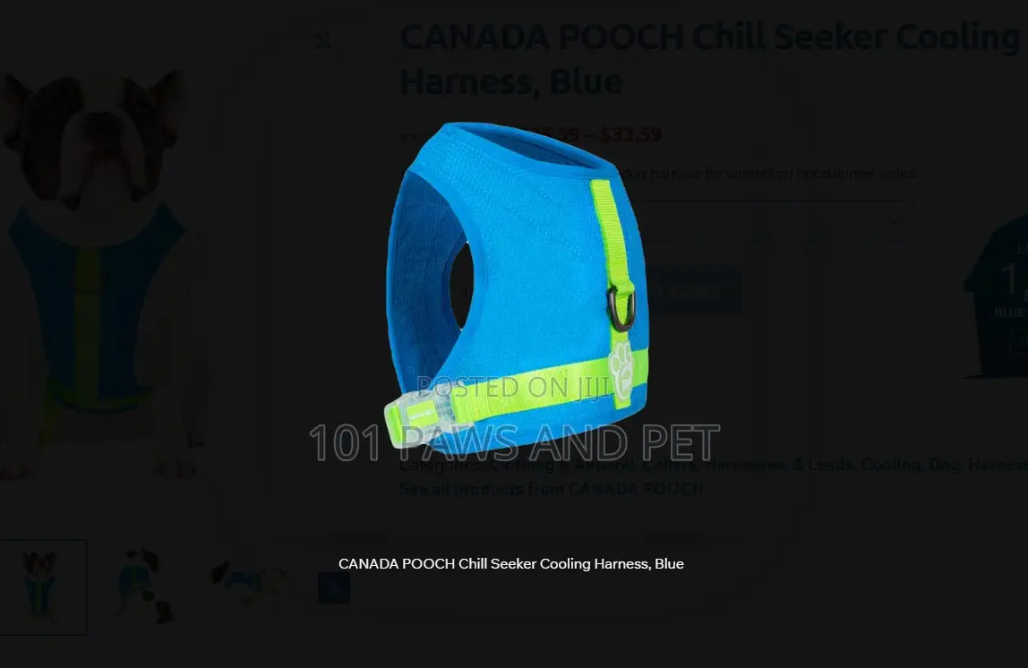 CANADA POOCH Chill Seeker Cooling Harness, Blue
