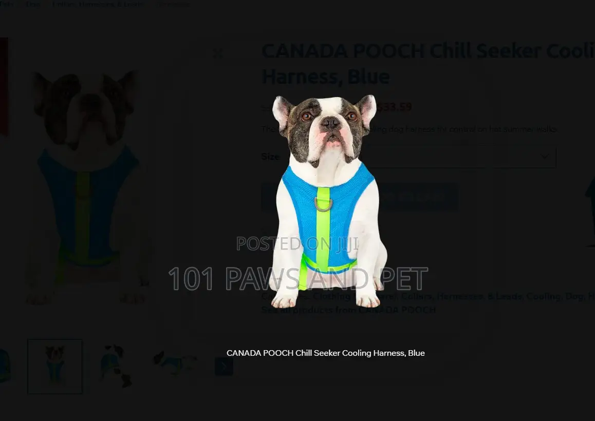 CANADA POOCH Chill Seeker Cooling Harness, Blue