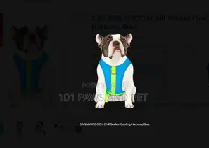 CANADA POOCH Chill Seeker Cooling Harness, Blue