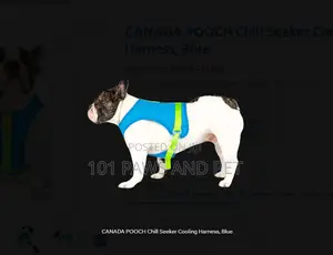 CANADA POOCH Chill Seeker Cooling Harness, Blue