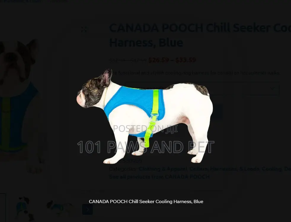 CANADA POOCH Chill Seeker Cooling Harness, Blue