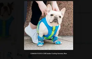 CANADA POOCH Chill Seeker Cooling Harness, Blue