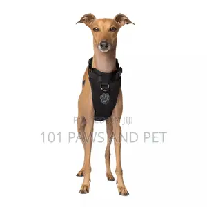 Canada Pooch Dog Harness - Black