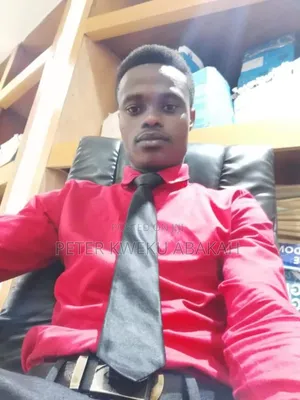 Accountant