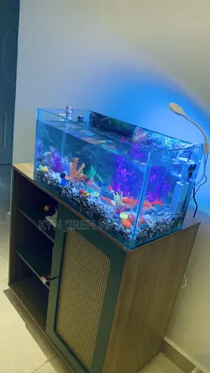 Comet Tabletop Aquarium