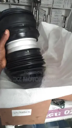 Range Rover Velar 18-2022 Back Air Spring/Shocks