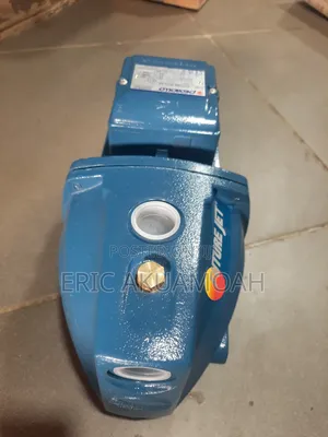Pedrollo 1.5HP Cast