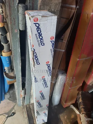 Pedrollo 1.5hp Bore Hole Pump
