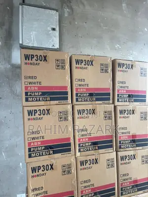 WP30 Water Pump