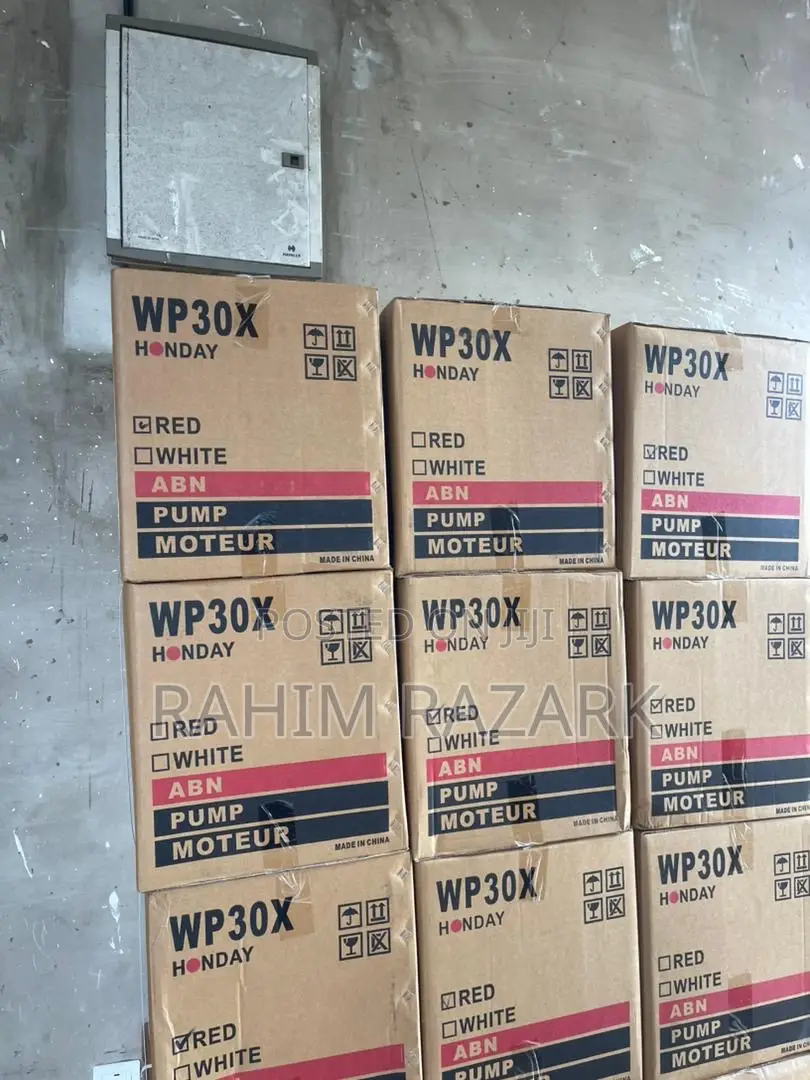 WP30 Water Pump