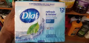 Dial Spring Water Antibacterial Bar Soap, 12pcs