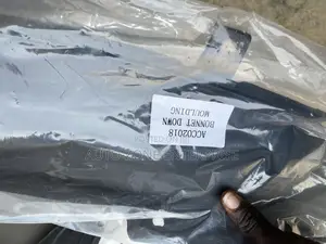 Honda Accord 2018-2022 Bonnet Down Moulding