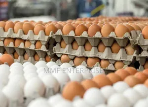 MMF Egg Enterprise