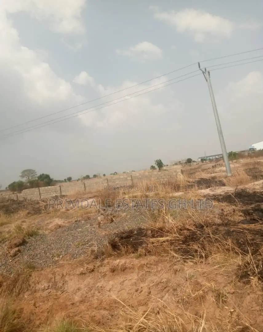50x70sqft Tsopoli Demarcated Plots