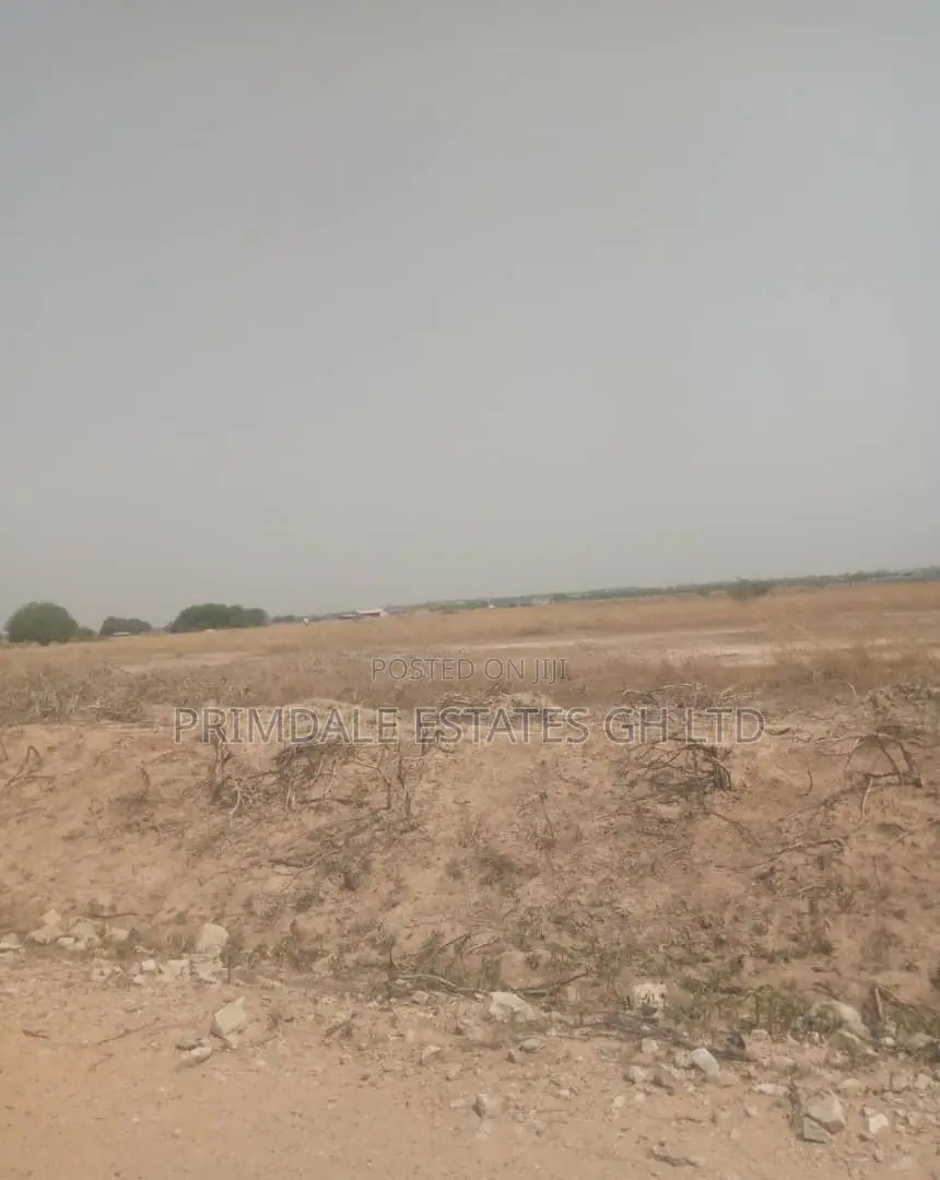50x70sqft Tsopoli Demarcated Plots