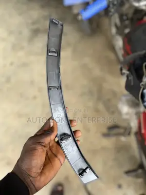 Toyota RAV4 Fender Moulding