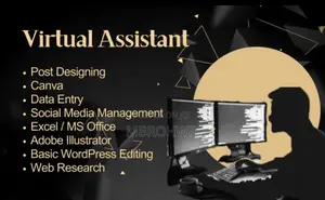 I Will Be Your Reliable Virtual Assistant for All Admin Task