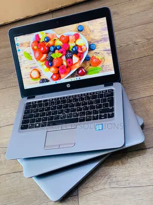 Laptop HP EliteBook 820 G3 8GB Intel Core I5 SSD 256GB