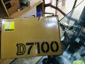 Capture Your World in Stunning Detail With the Nikon D7100
