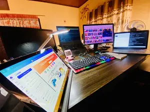 Computer and Laptop Software/Hardware Repair Services