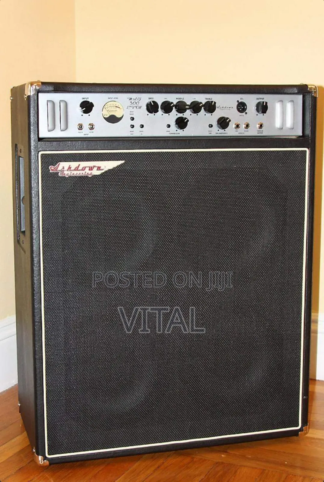 Professional Bass Combo Ashdown C410t Mag 300 Evo2