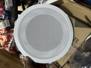 Ceiling Speaker 10 Inches