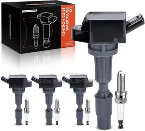 Hyundai Santa Fe 2016-19 Ignition Coil Spark Plugs.