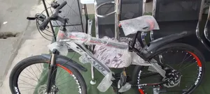 Bicycles (Adult)