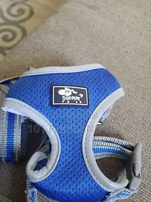 Duomm Dog Harness
