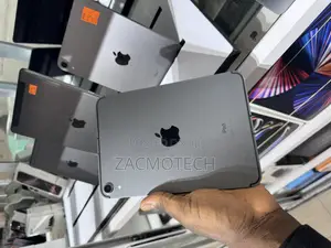 Apple iPad mini 6 64 GB Gray