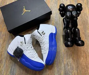 Nike Air Retro 12