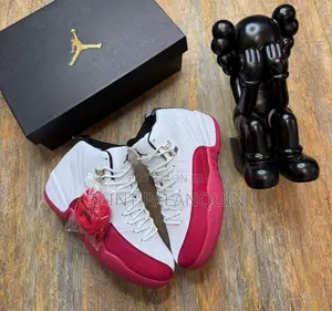 Nike Retro Air Jordan 12