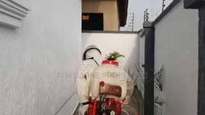 Disinfection and Fumigation With Cleantex