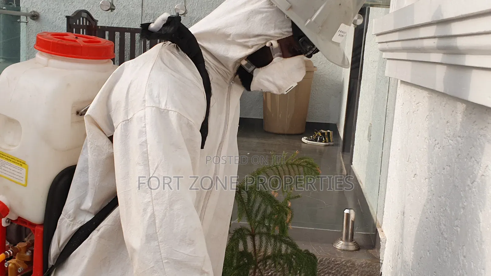 All Pest and Insects Solution