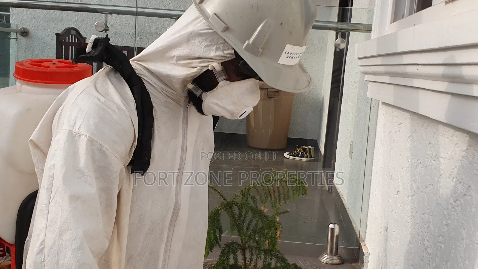 All Pest and Insects Solution