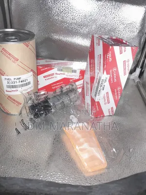 Fuel Pump Petrol