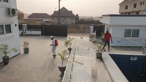 Swimming Pool Cleaning and Fumigation With Cleantex