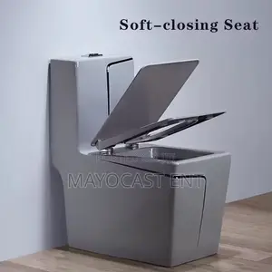Luxury WC (Water Closet)