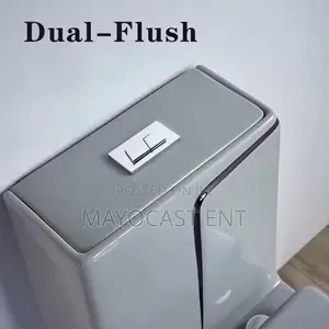Luxury WC (Water Closet)