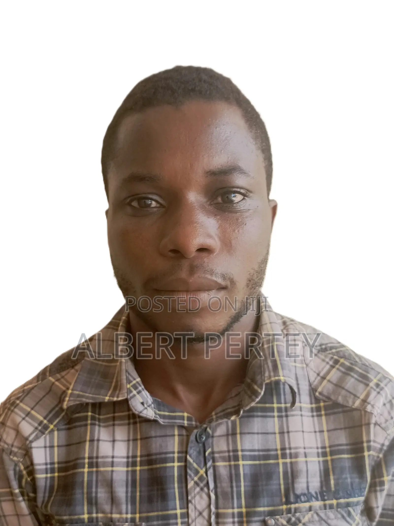 Petroleum Engineer
