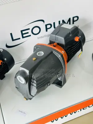 Leo Water Pump 2hp Cast