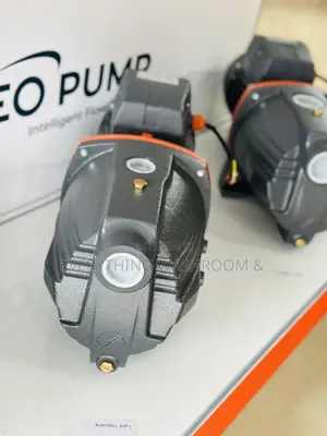 Leo Water Pump 2hp Cast