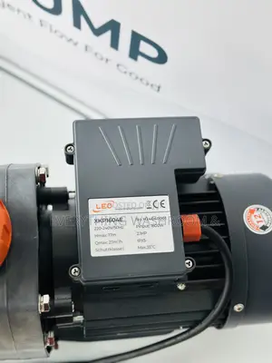 Leo Swimming Pool Pump 2hp