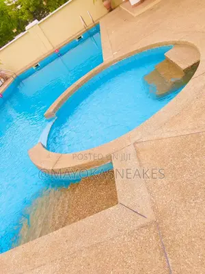 Swimming Pool Cleaning and Attendant