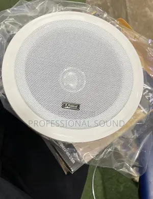 Pa Ceiling Speaker
