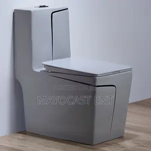 Luxury Toilet Seat ~ Water Closet