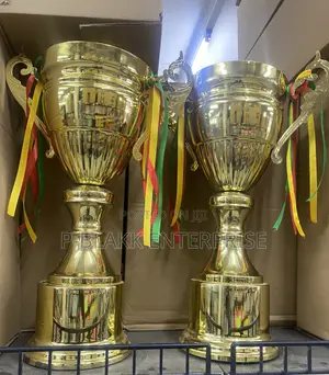 Award Trophy/ Cup