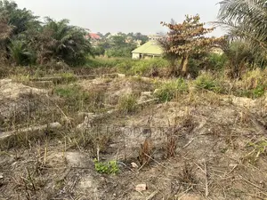 Half Plot for Sale at Sokoban,Wood Village Are.